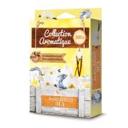 Освежитель воздуха под сиденье COLLECTION AROMATIQUE Ванильный лед