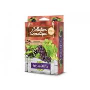 Освежитель воздуха под сиденье COLLECTION AROMATIQUE Океан