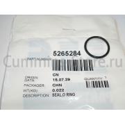 Кольцо уплотнительное патрубка ЕГР дв.Cummins ISF 2.8 (Оригинал)