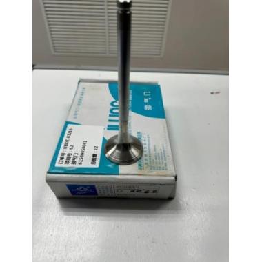 Клапан WD615, WP10 выпускной SHAANXI